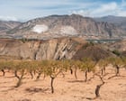 ‘It’s Russian roulette’: alarm as Europe backs critical minerals mines in water-stressed regions